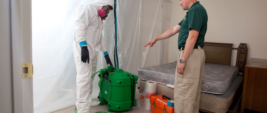 Mesa, AZ mold removal process